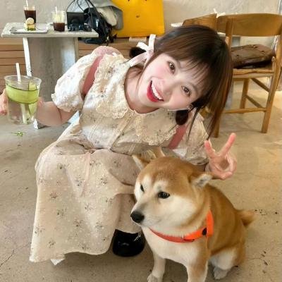 爱情赏味期